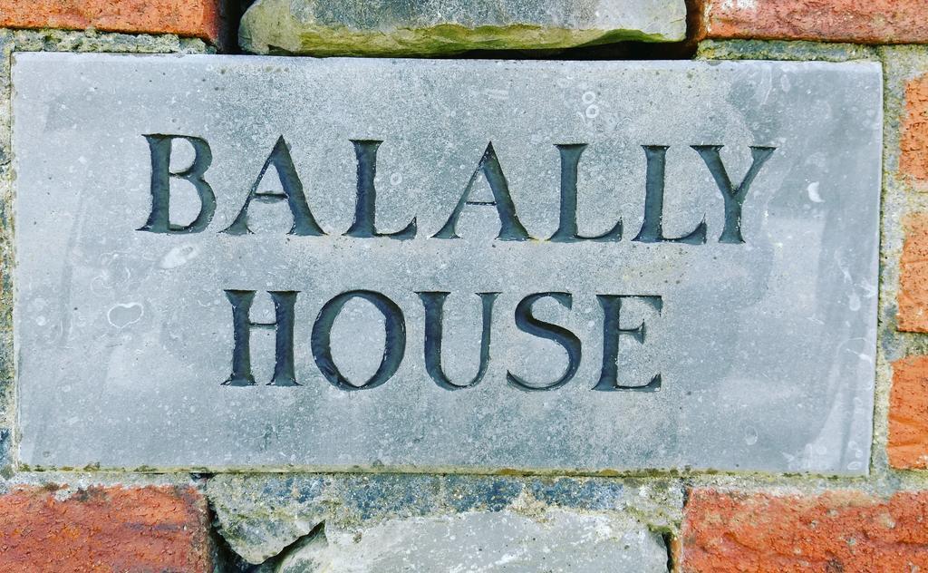 Balally House Shannon Extérieur photo